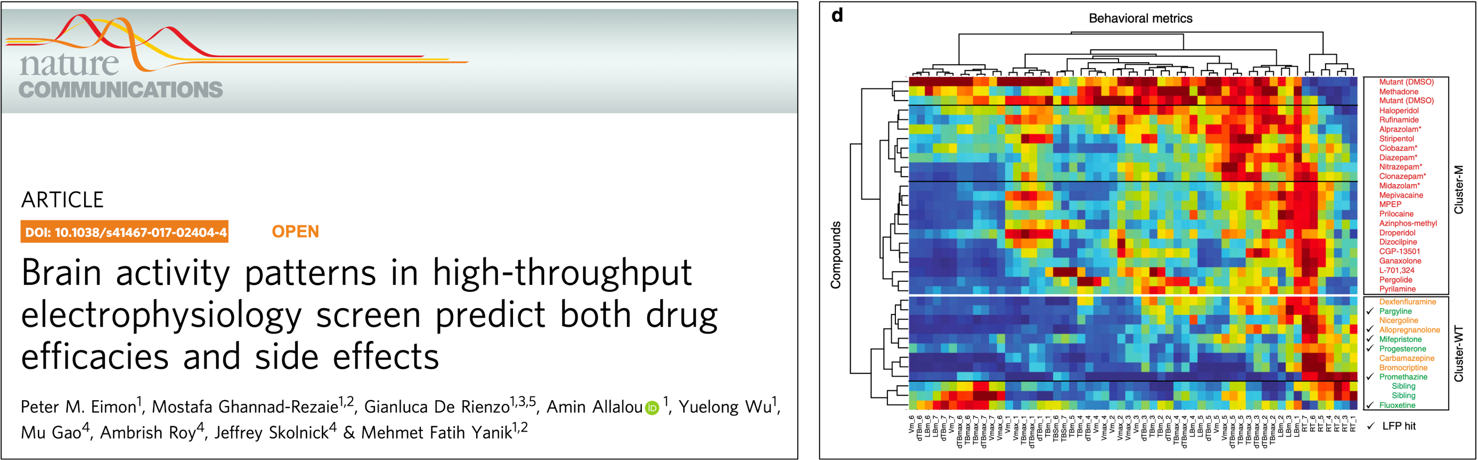 brain activity pattern high-thru ephys
