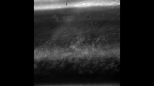 microbubbles