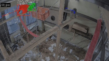 sipec video